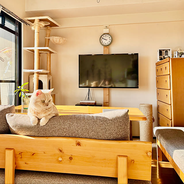 naokoさんの実例写真