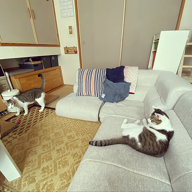 Lufuさんの実例写真