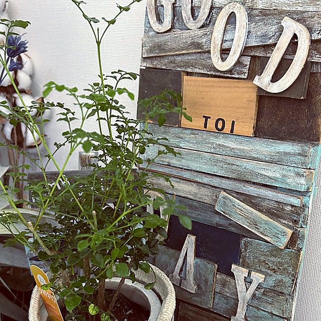 tomoさんの部屋