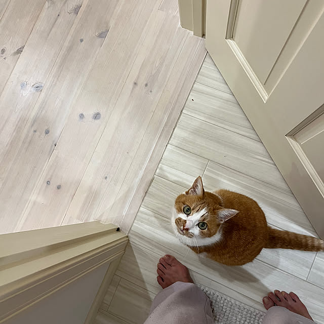 sakuraさんの部屋