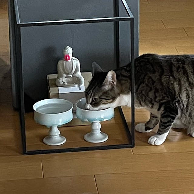chihiroさんの実例写真