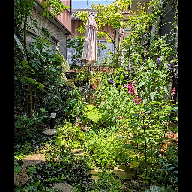 aromameさんの部屋