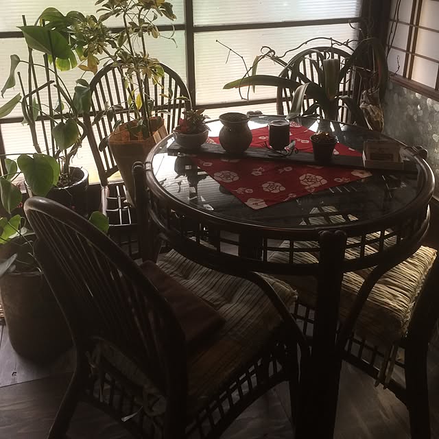 机/観葉植物/多肉植物のインテリア実例 - 2015-12-07 15:11:05