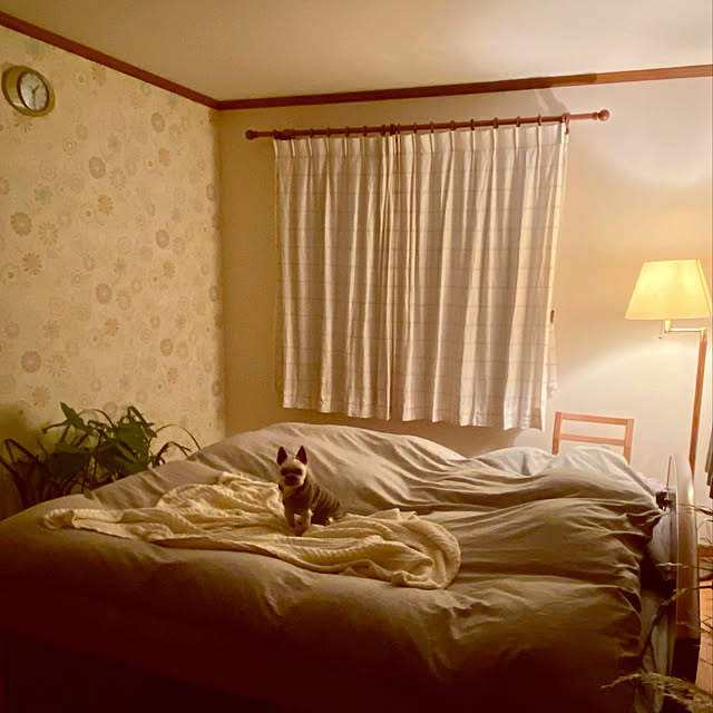 misacoさんの実例写真