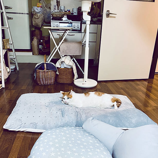 YUKAさんの実例写真