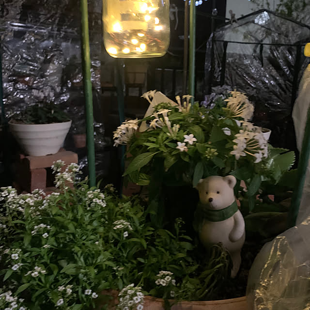 Aqettyさんの部屋
