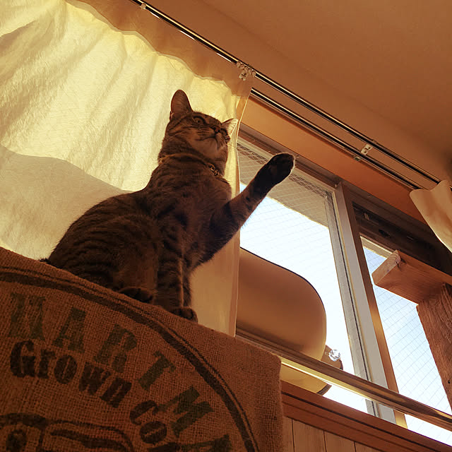 Mさんの実例写真