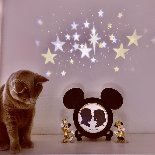 snoopyさんの実例写真