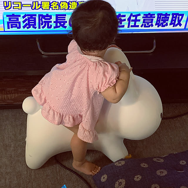 ayuminさんの実例写真