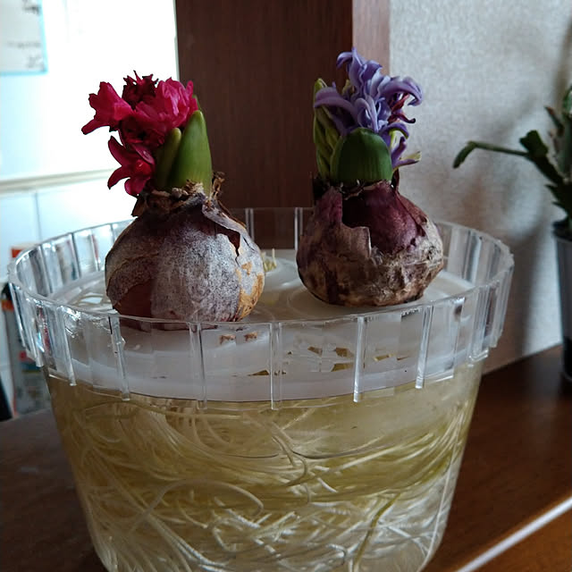 Rieさんの実例写真