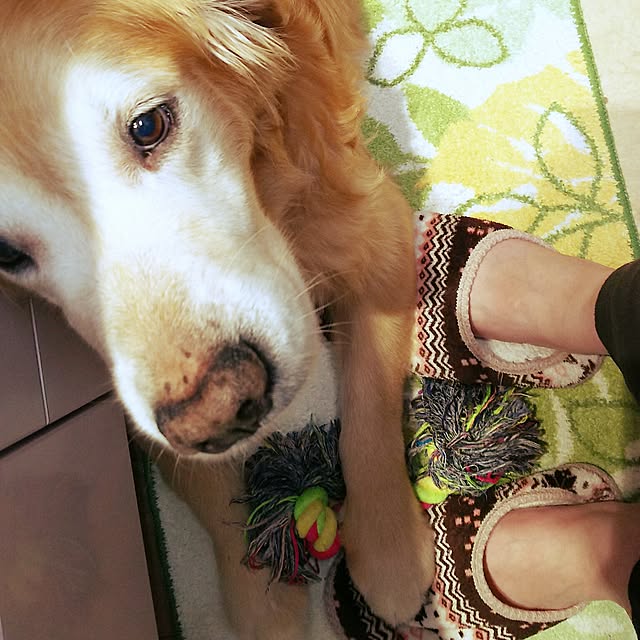shelly-1227さんの実例写真