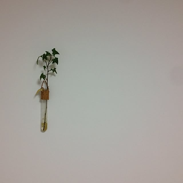 kemukujyaraさんの実例写真