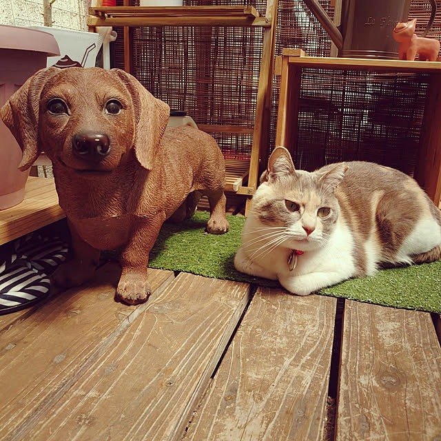 fukuさんの実例写真