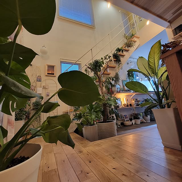 nonbiri_house_さんの部屋