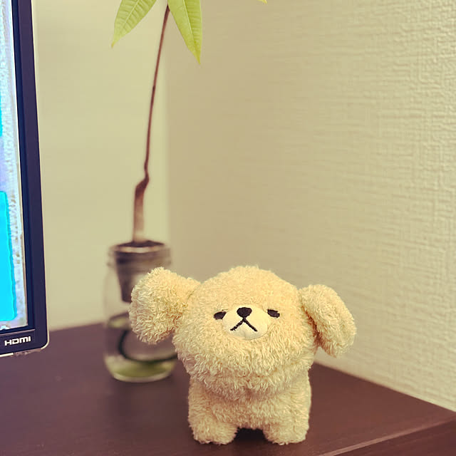 otsutaudonkoさんの実例写真