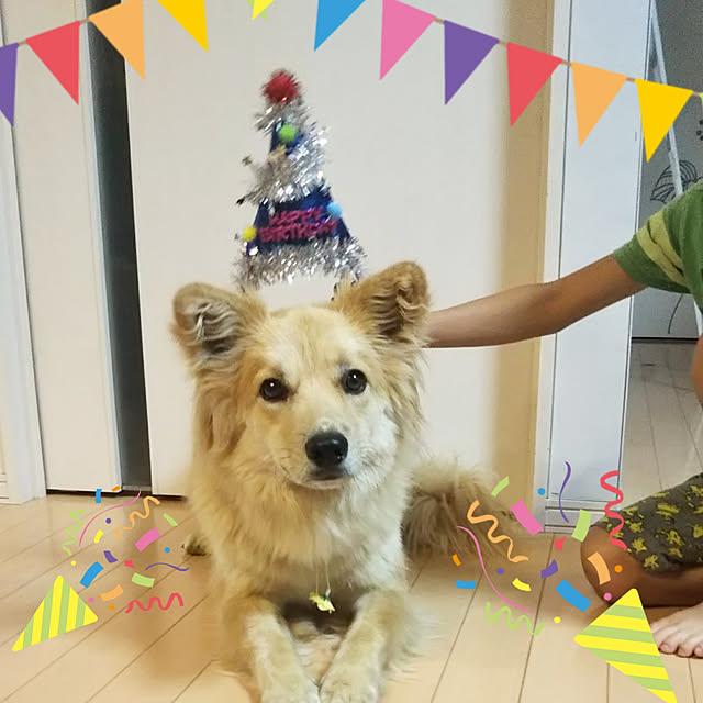 kaoriさんの実例写真