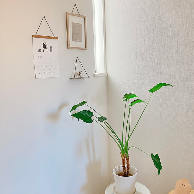 suna_kitsuneさんの実例写真