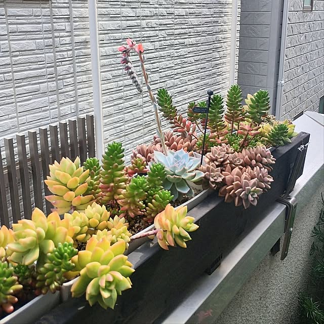 jinさんの部屋
