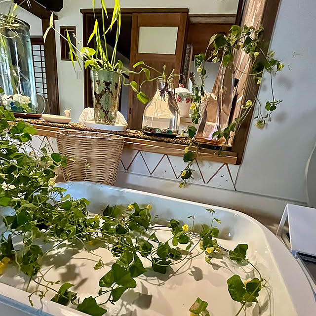 cotaさんの部屋