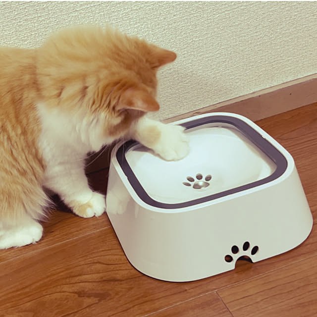 junさんの実例写真