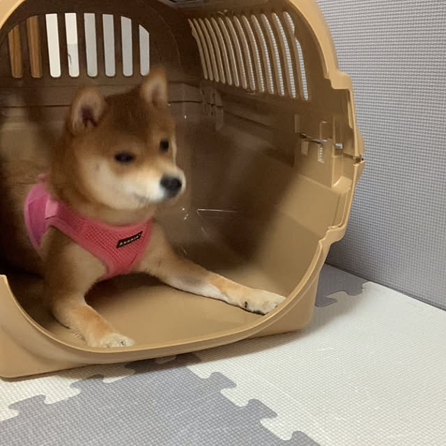 yumomitoさんの実例写真