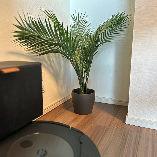 kananaさんの実例写真