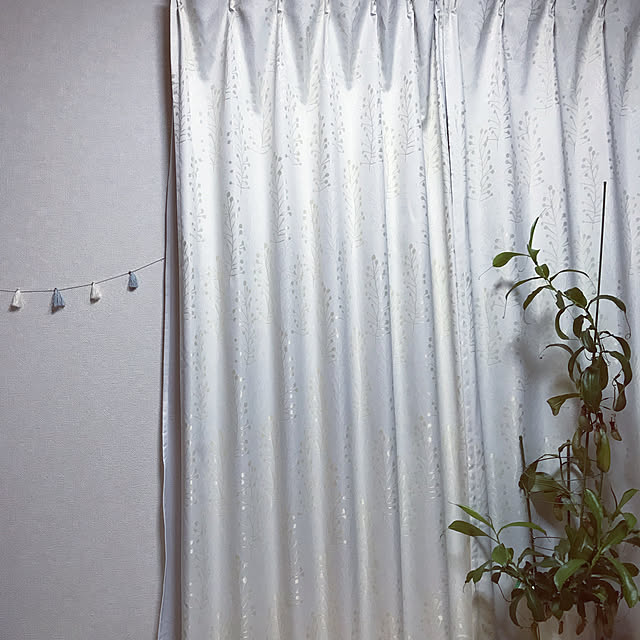 Ayuminnさんの実例写真