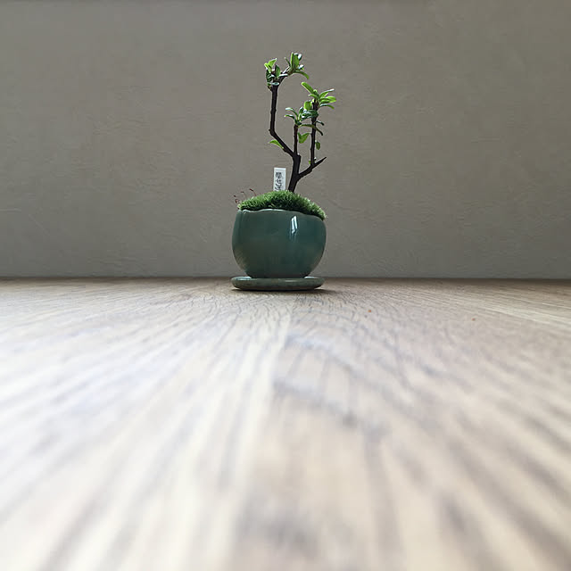 arinoさんの実例写真