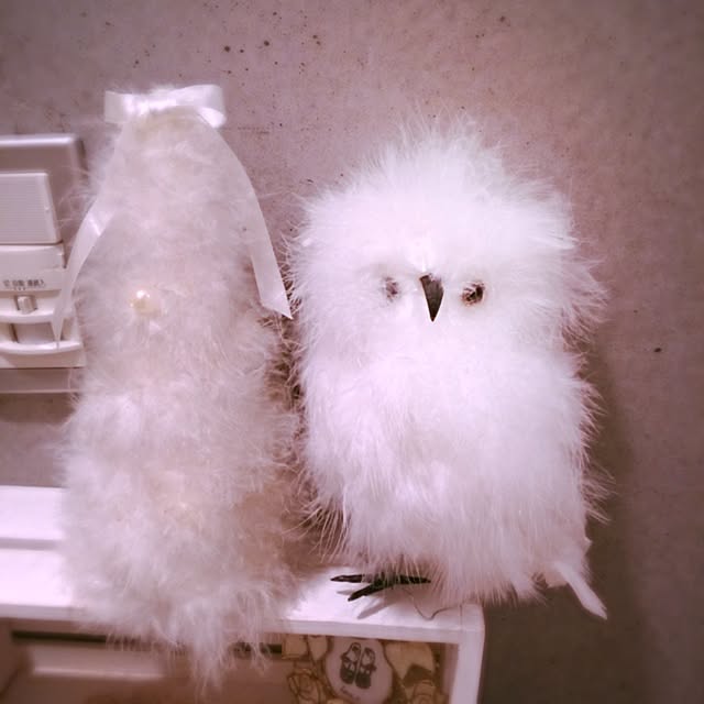 Yさんの実例写真