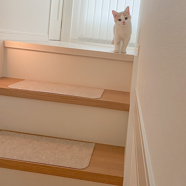 Tinaさんの実例写真