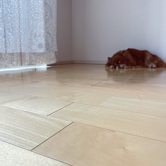 Mikiさんの実例写真