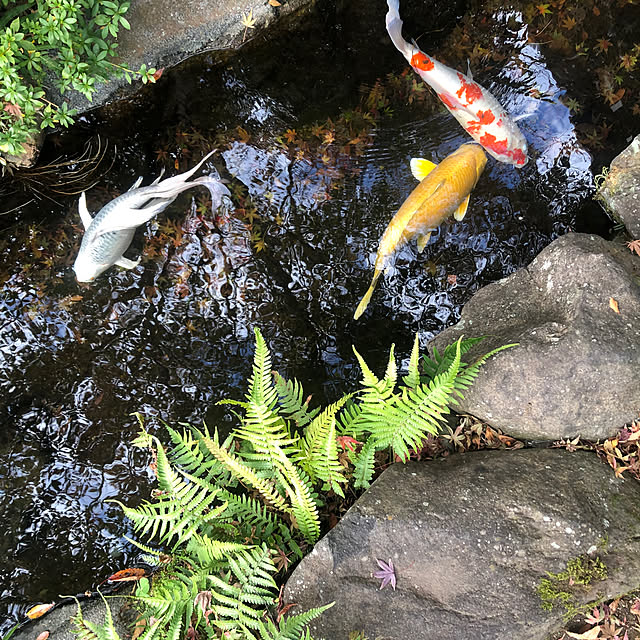 Rororiさんの部屋