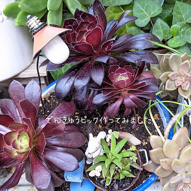 junさんの実例写真