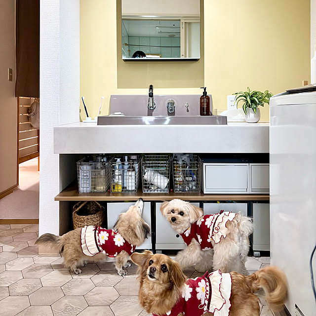 chachamamaさんの部屋