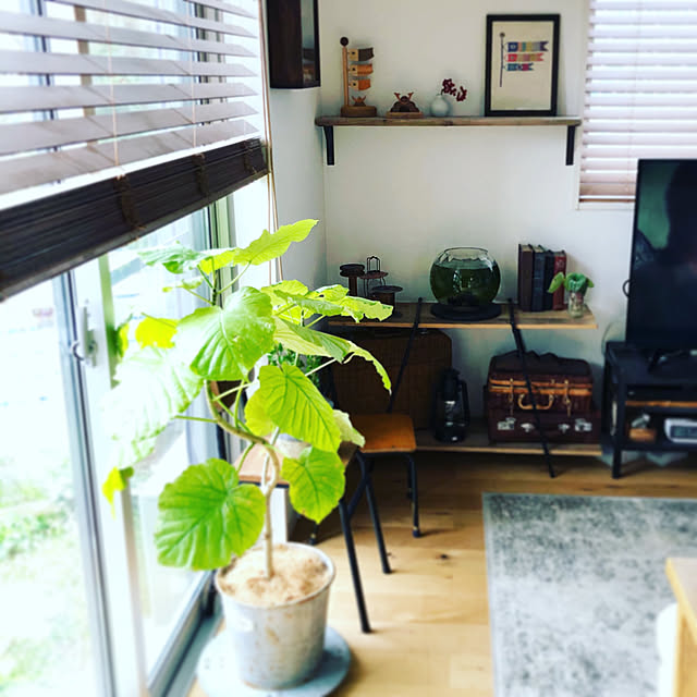 moca.yさんの実例写真