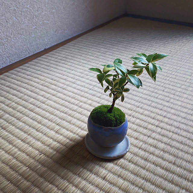 rimaさんの実例写真