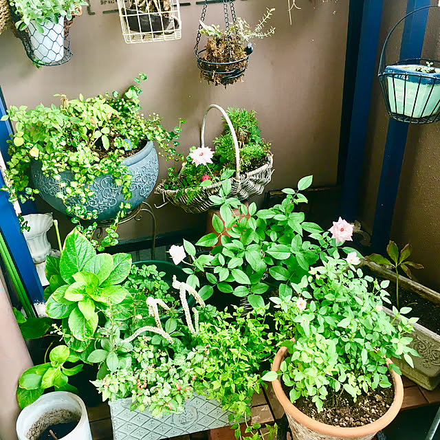 naokoさんの部屋