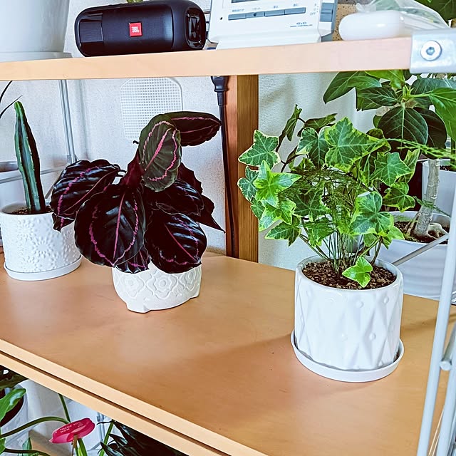 hanachanさんの部屋