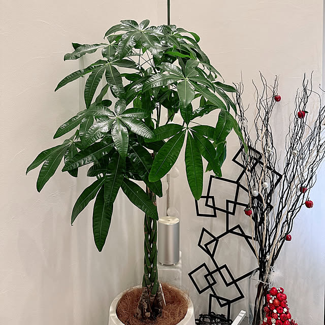 hanahana1444さんの部屋