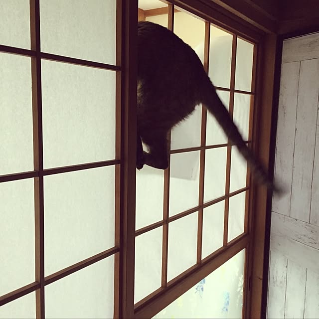 ema_panさんの実例写真