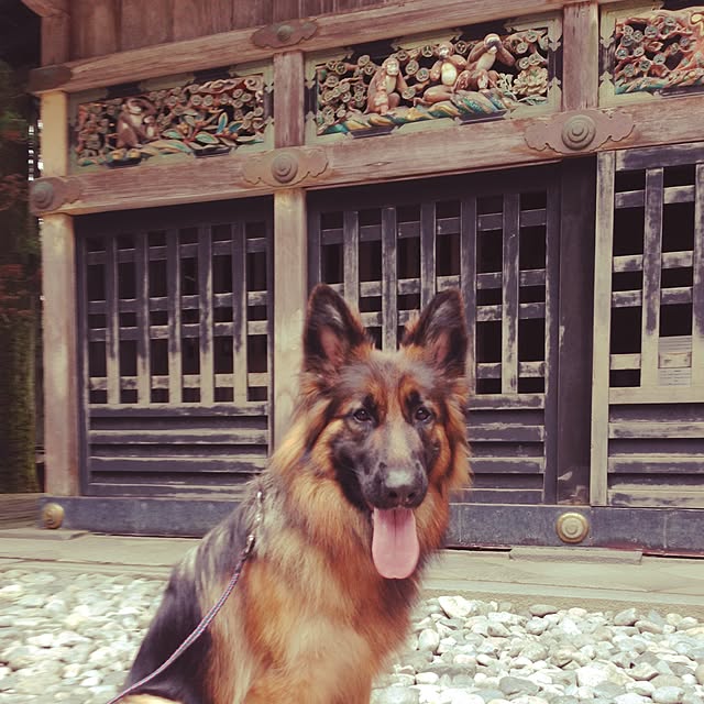 実例写真