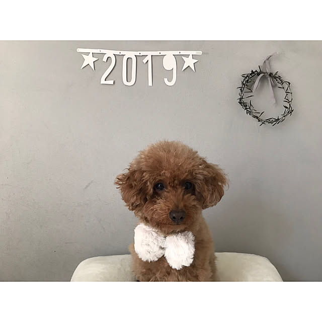 saooo39さんの実例写真