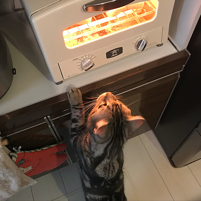 KotarouKunさんの実例写真