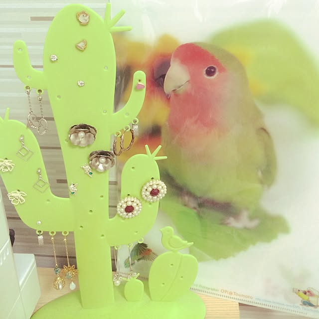 yukaさんの実例写真