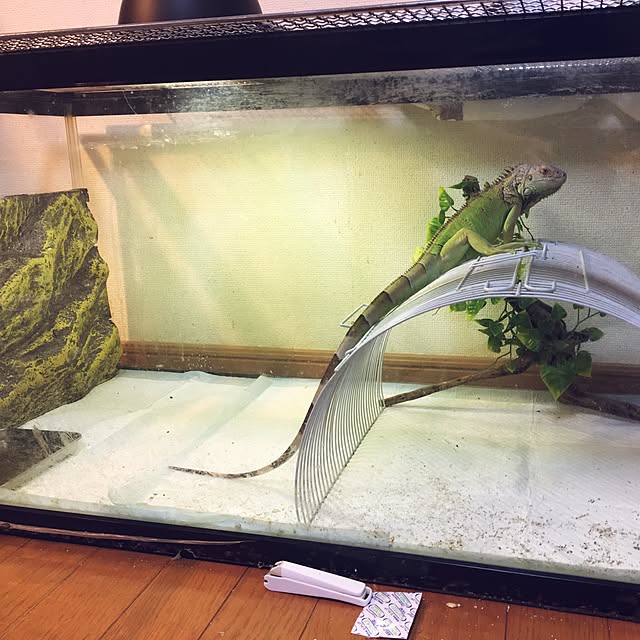 kaz_ablvさんの実例写真