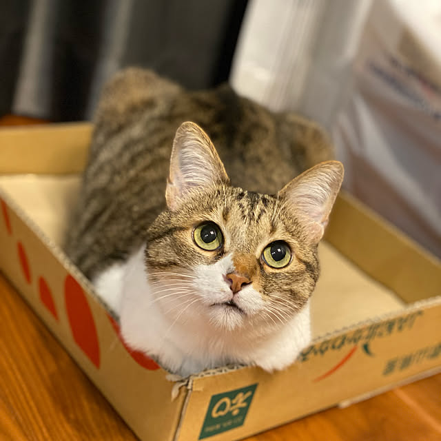 Rubyさんの実例写真