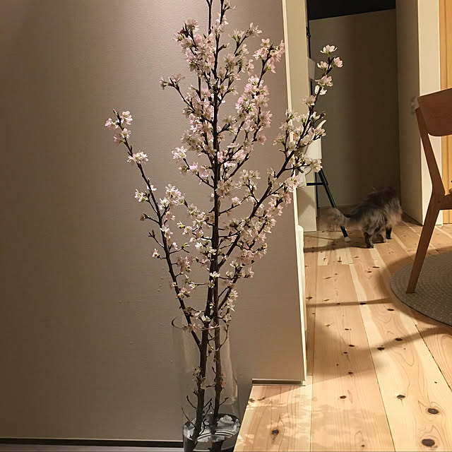 risig1027さんの実例写真