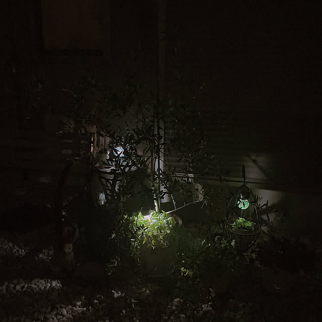 akiko-ovさんの実例写真