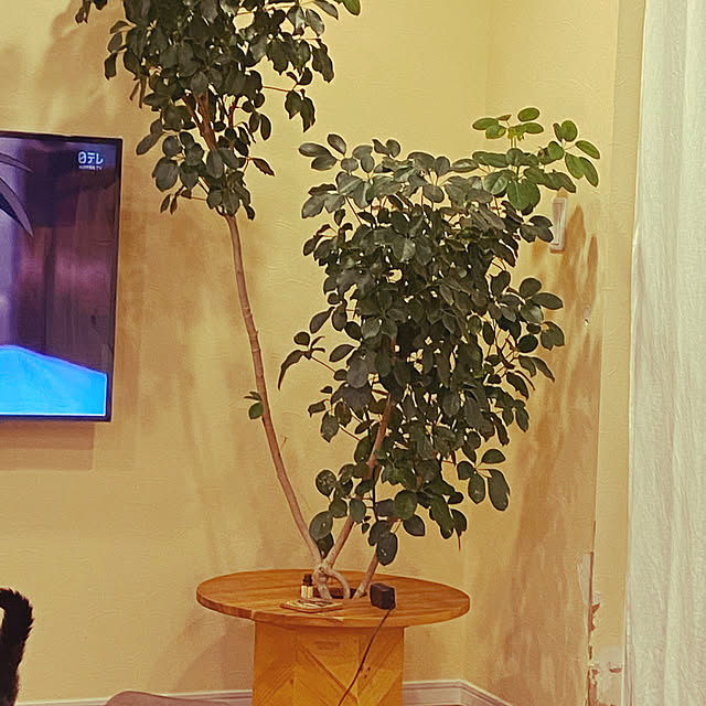 kaoriさんの実例写真