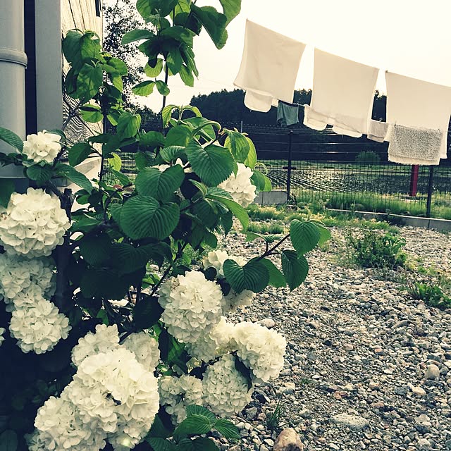 087さんの実例写真